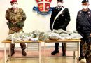 Carabiniere a quattro zampe” in forza al Nucleo Cinofili pugliese scopre 8 kg marijuana