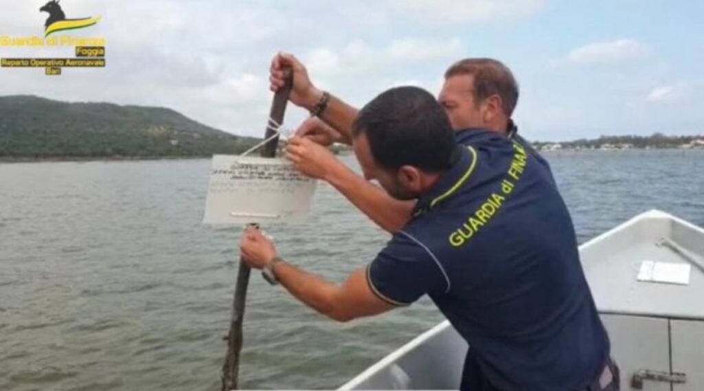 GDF FOGGIA: SEQUESTRATI OLTRE 40 IMPIANTI DI ITTICOLTURA ABUSIVI NEL LAGO DI VARANO. 1 CB76FFC6 81CE 4E9A A2A8 8C87BCC27124