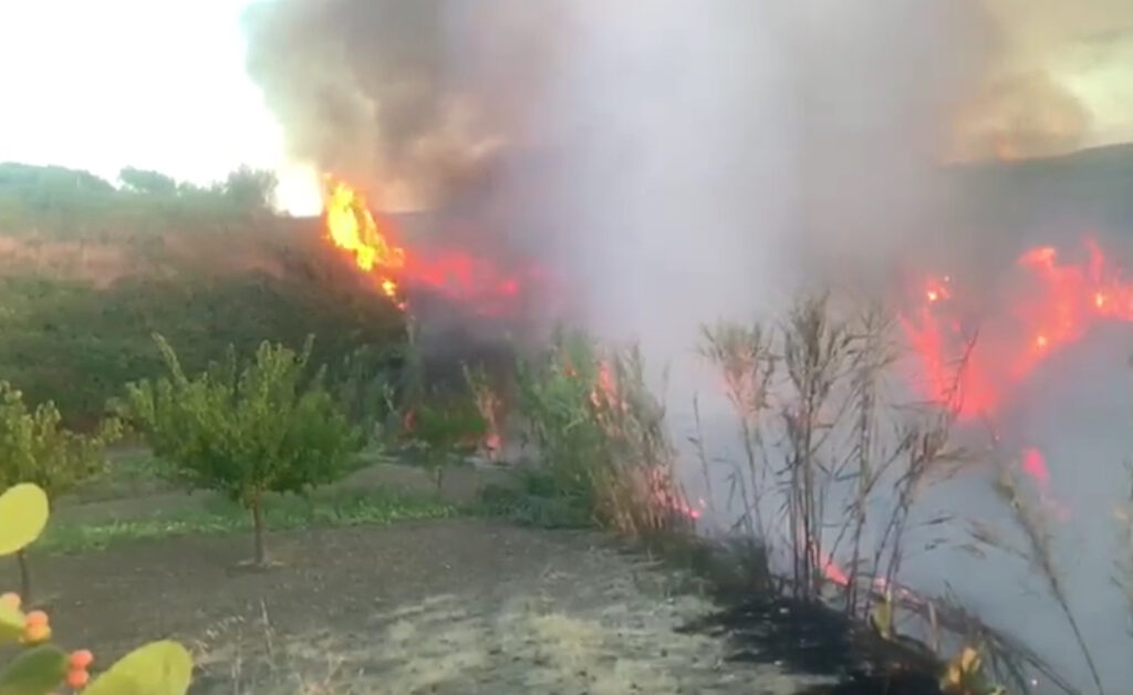 Lesina(fg): Fuoco incendi in capitanata Lesina, Marina di Chieuti 1 9893FEC9 DDA5 4F88 8C75 CE15B350DF33
