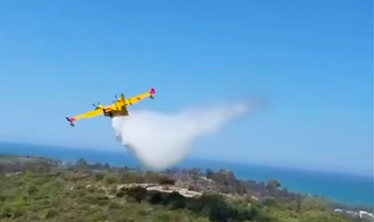 Gargano in fiamme, le promesse bruciano insieme ai boschi Gargano in fiamme, le promesse bruciano insieme ai boschi