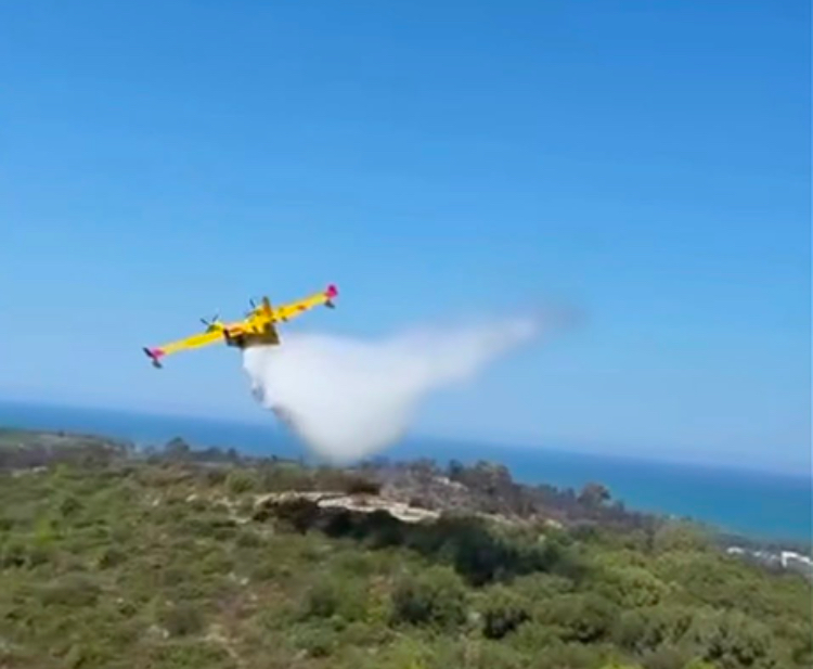 Gargano in fiamme, le promesse bruciano insieme ai boschi 1 D321CDFC C750 4AAE 88E5 93543DD4F080