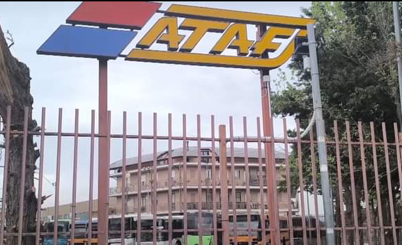 FOGGIA:ATAF, IL PIANO INDUSTRIALE NON C’È I SINDACATI CHIEDONO LA TESTA DEL CDA E UN DIRETTORE GENERALE 1 815C568B E9B3 47D6 A4DC 9C90C3A51962