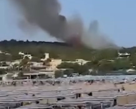 Vieste:Gargano, otto incendi e un arresto così i Carabinieri forestali hanno ricostruito l’inchiesta Vieste:Gargano, otto incendi e un arresto così i Carabinieri forestali hanno ricostruito l’inchiesta